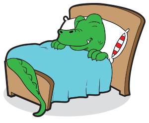 alligator-sleeping