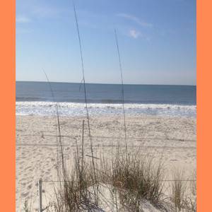 Blog-Beach