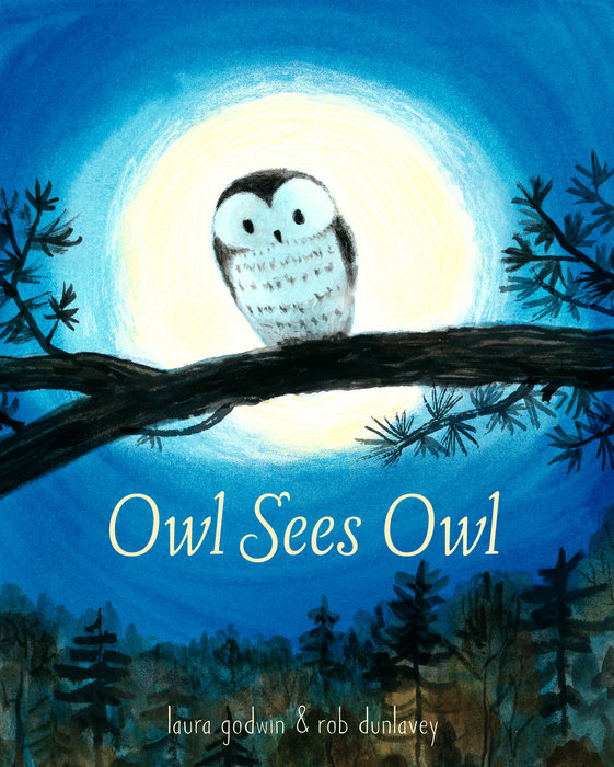 owl-sees-owl