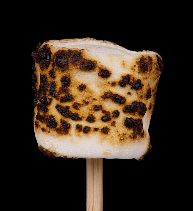 Would You Like S’more? | The Mailbox Blog